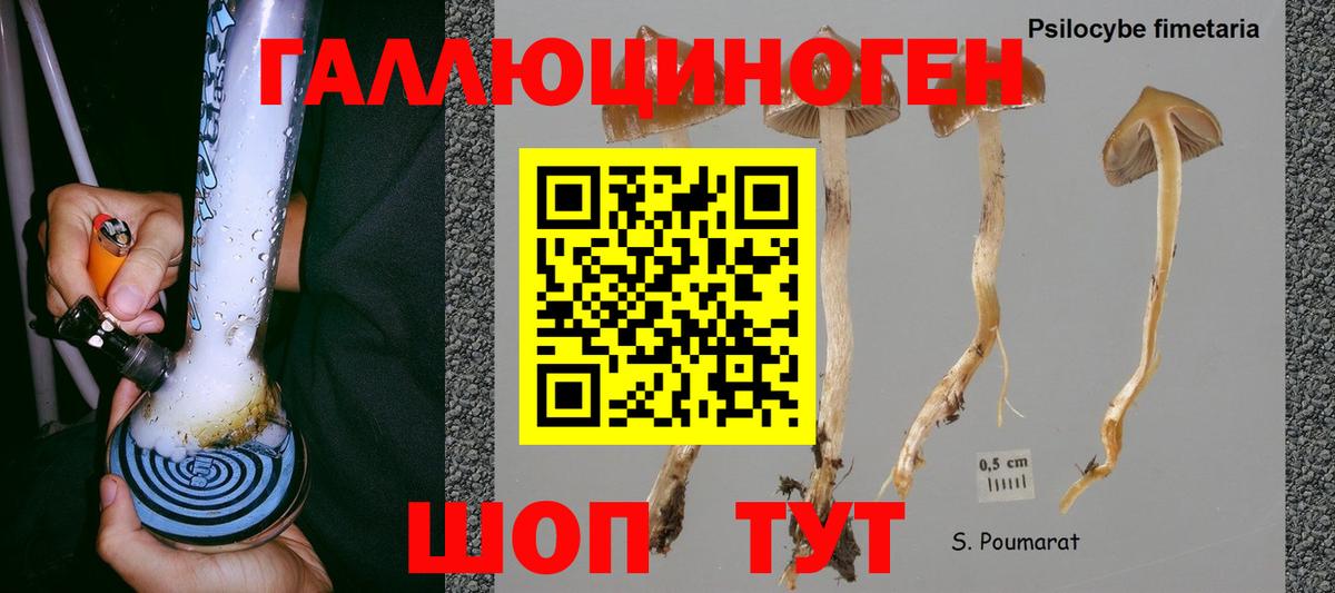 Оренбург  Галлюциногенные грибы прущие грибы  Галлюциногенные грибы мухоморы  Вход с VPN 